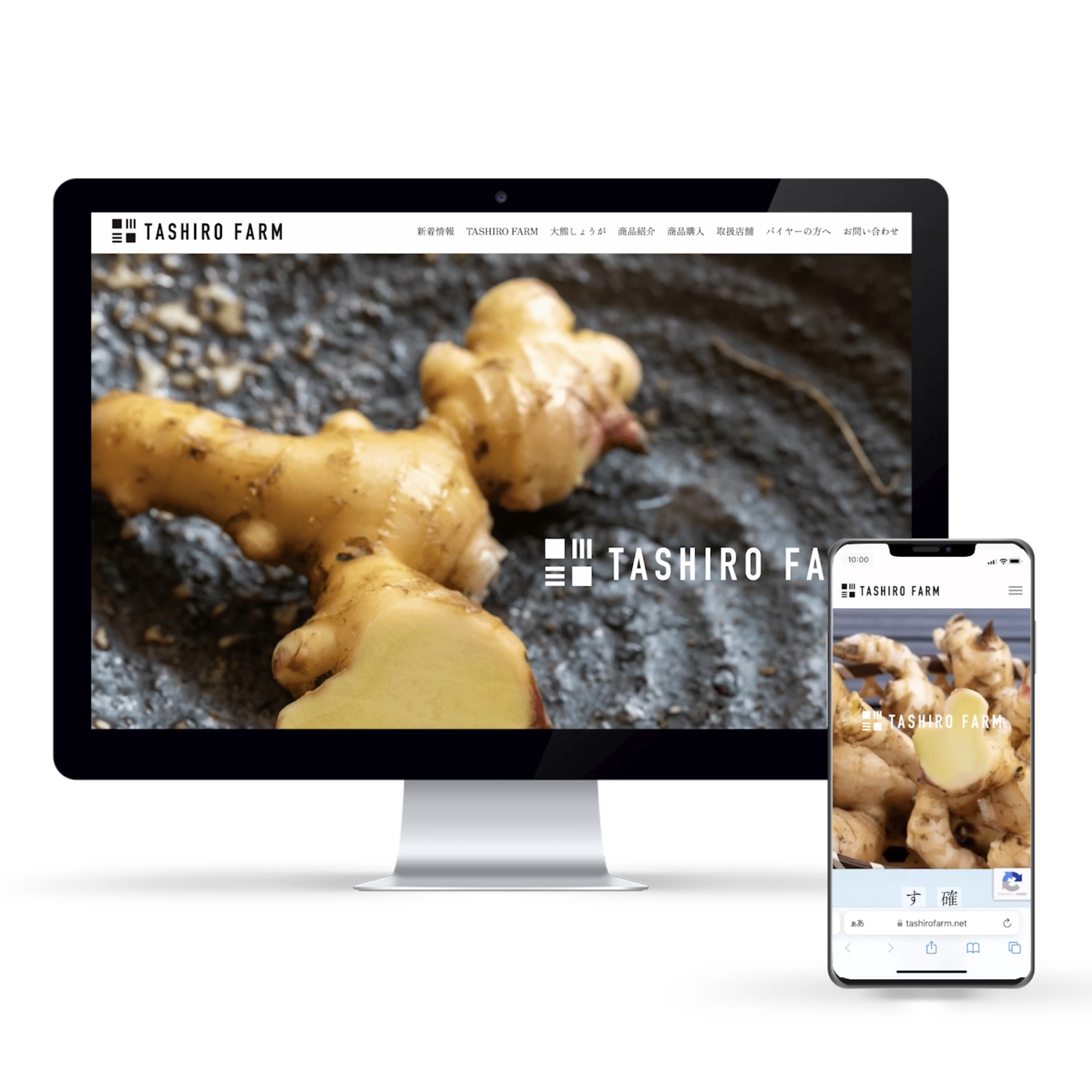 大熊町の生姜農家TASHIRO FARM・大熊生姜のブランドロゴ、webサイトを制作しました！